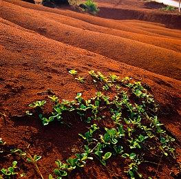 国外数据网站：Switch在美销量超过PS2